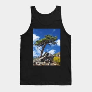 A Lonely Pine Tree Tank Top
